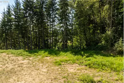 239 Junco Ln, Woodland, WA 98674 - Photo 19