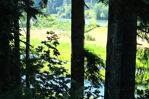 9247 Hwy 126, Mapleton, OR 97453 - Photo 37