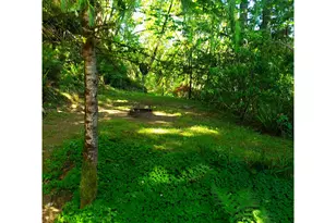 9247 Hwy 126, Mapleton, OR 97453 - Photo 29