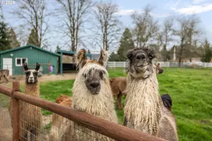 17525 S Holly Ln, Oregon City, OR 97045 - Photo 43