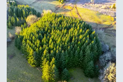 22399 Harris Rd #TL800, Philomath, OR 97370 - Photo 11