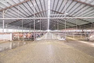 35719 Engle Rd, Albany, OR 97322 - Photo 21