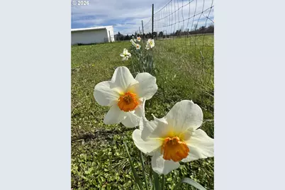 [Address not provided], Brownsville, OR 97327 - Photo 27