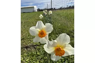 [Address not provided], Brownsville, OR 97327 - Photo 27
