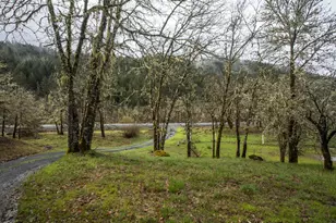 3866 Placer Rd, Wolf Creek, OR 97497 - Photo 43