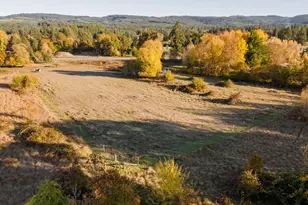 19115 Hwy 42, Camas Valley, OR 97416 - Photo 41