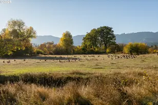 19115 Hwy 42, Camas Valley, OR 97416 - Photo 43