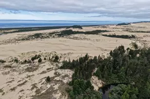 590 Kings Ave, Lakeside, OR 97449 - Photo 41