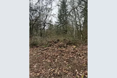 Hutchinson Rd, Rainier, OR 97048 - Photo 1