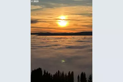 813 Varsity Rd, Kalama, WA 98625 - Photo 45