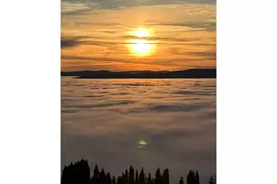 813 Varsity Rd, Kalama, WA 98625 - Photo 45