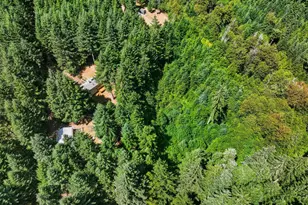 47801 NW Deer Ct, Banks, OR 97106 - Photo 41