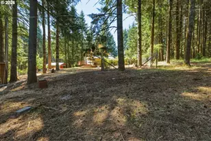 47801 NW Deer Ct, Banks, OR 97106 - Photo 39