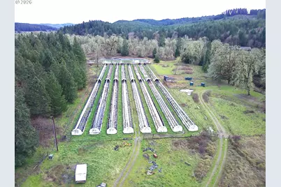 85106 Territorial Hwy, Eugene, OR 97402 - Photo 3