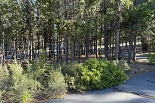 142015 Blue Sky Way, Crescent Lake, OR 97733 - Photo 33