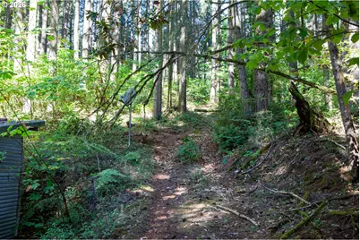 24331 Bolton Hill Rd, Veneta, OR 97487 - Photo 43