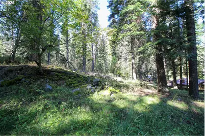 Beske Ln, Joseph, OR 97846 - Photo 13