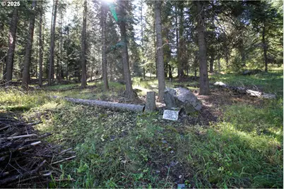 Beske Ln, Joseph, OR 97846 - Photo 5