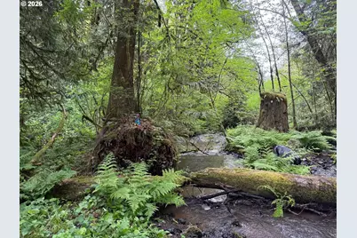 22665 SW Schaltenbrand Ln, Sherwood, OR 97140 - Photo 41