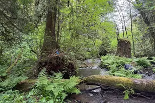 22665 SW Schaltenbrand Ln, Sherwood, OR 97140 - Photo 41