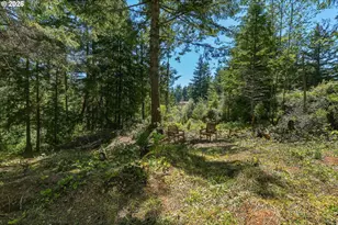 94278 Shotgun Dr, North Bend, OR 97459 - Photo 45