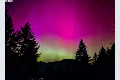 411 Upper Terrace Ln, Glide, OR 97443 - Photo 25