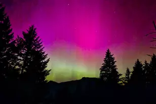 411 Upper Terrace Ln, Glide, OR 97443 - Photo 25