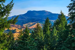 411 Upper Terrace Ln, Glide, OR 97443 - Photo 23