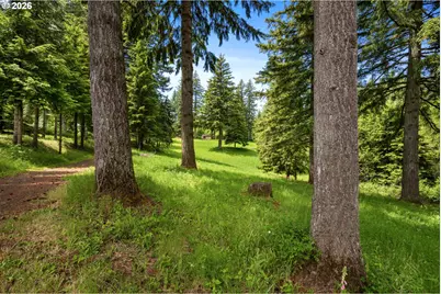 61 Bear Prairie Rd, Washougal, WA 98671 - Photo 39