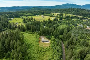 61 Bear Prairie Rd, Washougal, WA 98671 - Photo 43