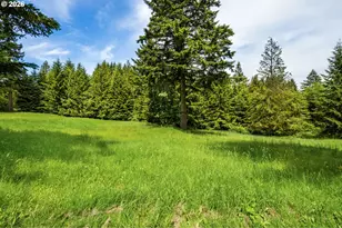 61 Bear Prairie Rd, Washougal, WA 98671 - Photo 39