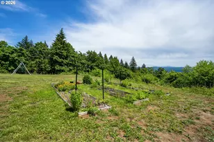61 Bear Prairie Rd, Washougal, WA 98671 - Photo 35