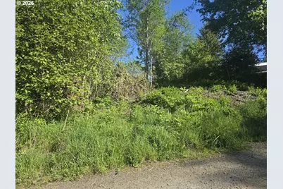 Bear Rd, Elsie, OR 97138 - Photo 3
