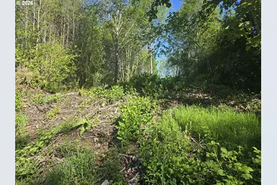 Bear Rd, Elsie, OR 97138 - Photo 7