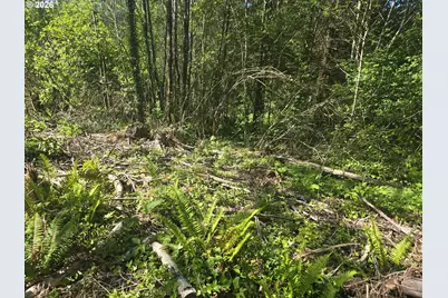 Bear Rd, Elsie, OR 97138 - Photo 1