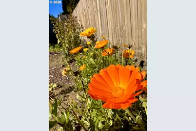 369 S 10th St, Coos Bay, OR 97420 - Photo 37