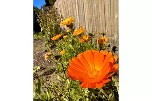 369 S 10th St, Coos Bay, OR 97420 - Photo 37