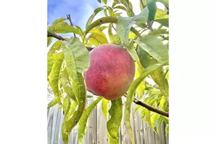 369 S 10th St, Coos Bay, OR 97420 - Photo 41