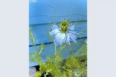 369 S 10th St, Coos Bay, OR 97420 - Photo 35