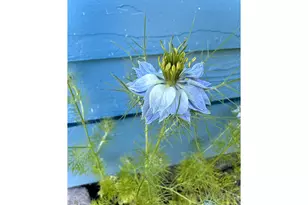 369 S 10th St, Coos Bay, OR 97420 - Photo 35