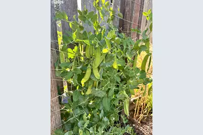 369 S 10th St, Coos Bay, OR 97420 - Photo 39