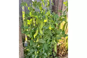 369 S 10th St, Coos Bay, OR 97420 - Photo 39