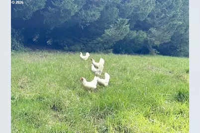 814 NW Pleasant View Dr, La Center, WA 98629 - Photo 17