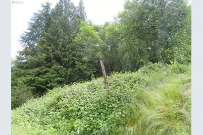 Sylvan Way, Longview, WA 98632 - Photo 7