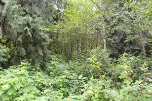 Sylvan Way, Longview, WA 98632 - Photo 1