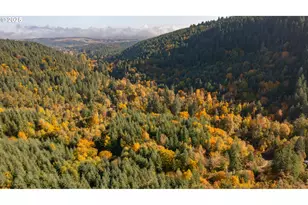 17925 Brown Rd, Dallas, OR 97338 - Photo 3