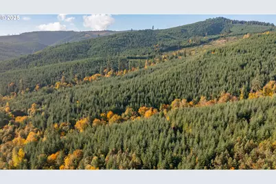 17925 Brown Rd, Dallas, OR 97338 - Photo 13