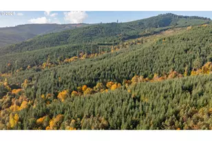 17925 Brown Rd, Dallas, OR 97338 - Photo 13