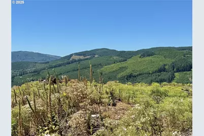 3700 Little Kalama River Rd #6, Woodland, WA 98674 - Photo 37