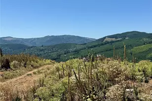 3700 Little Kalama River Rd, Woodland, WA 98674 - Photo 1
